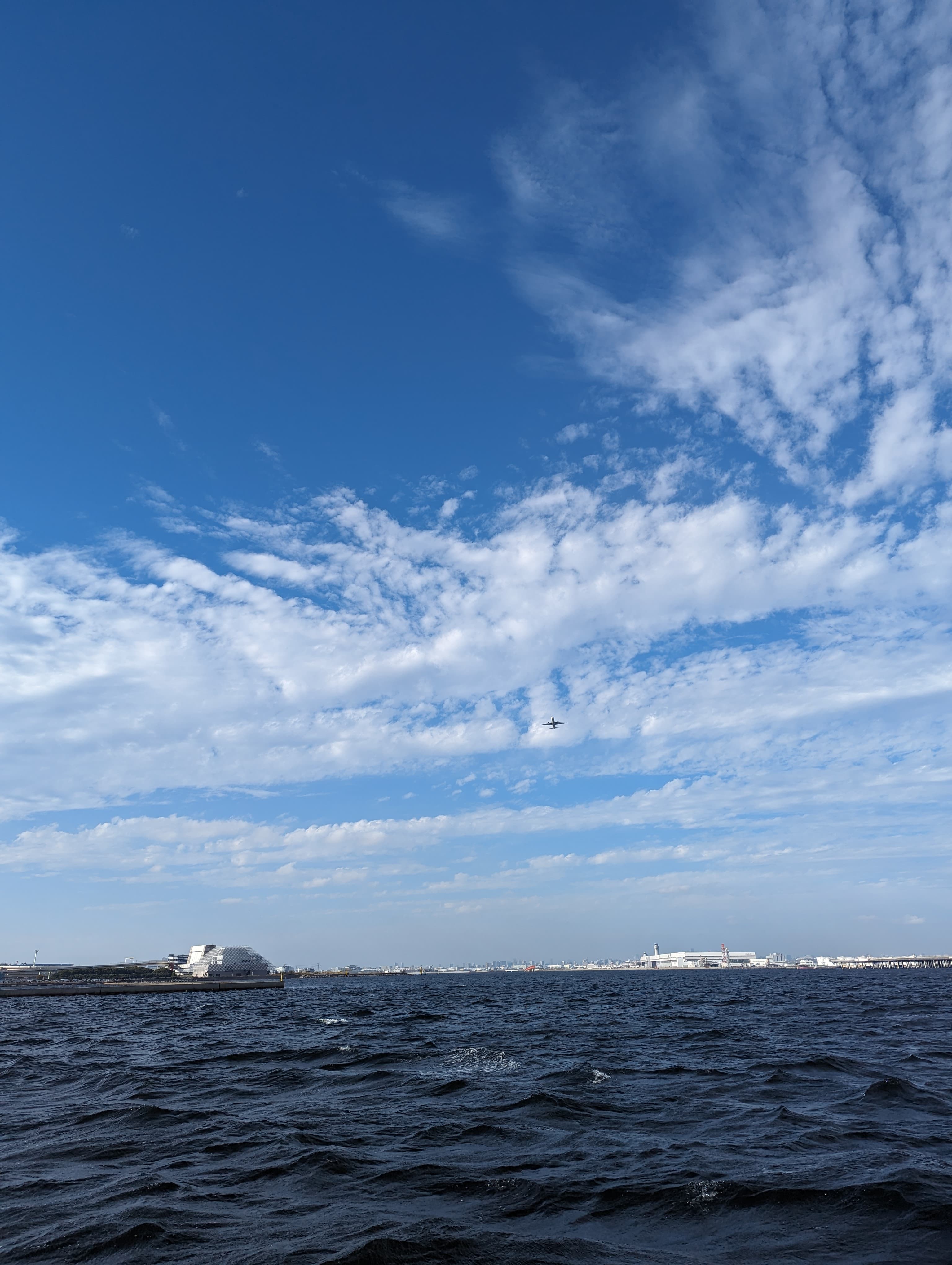 田町でアジ釣り
